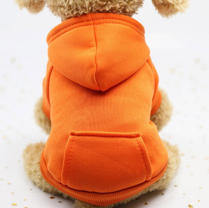 Pet hoody