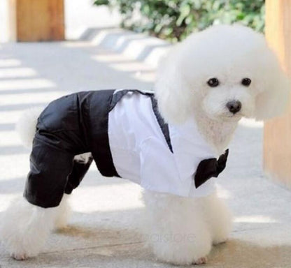 Pet Formal Outfit