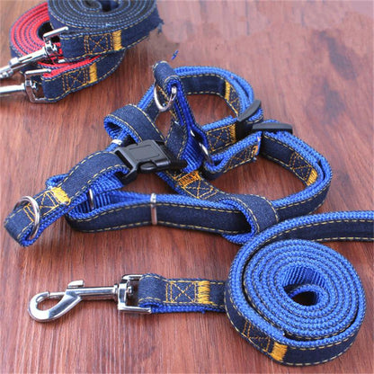 Denim Leash and Harness