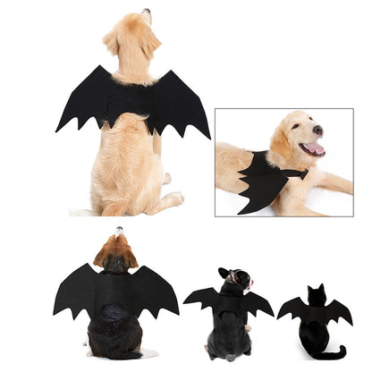 Pet Bat Wings