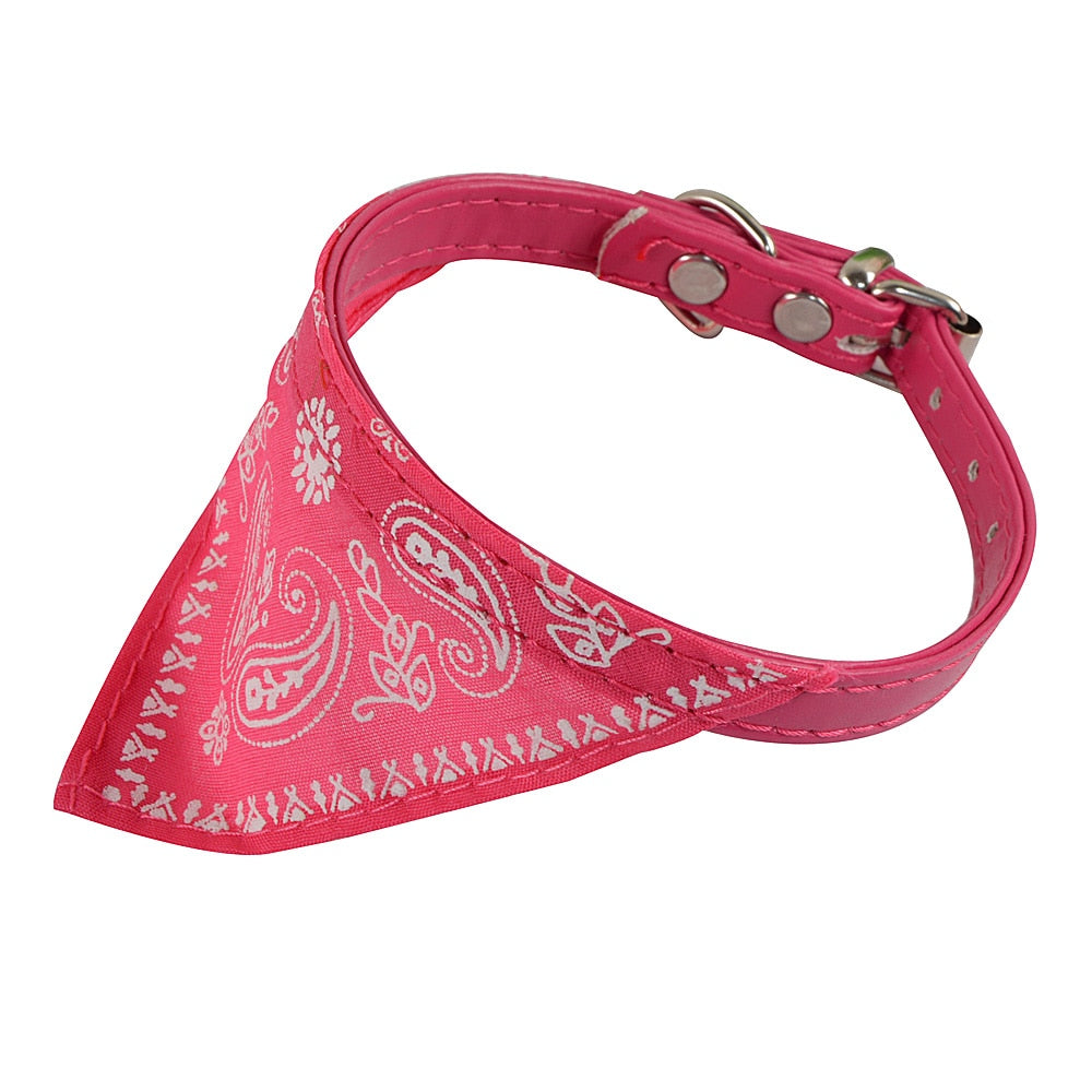 Bandana Collar