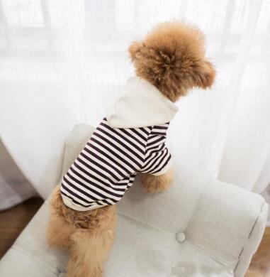 Fancy Pet Hoodie