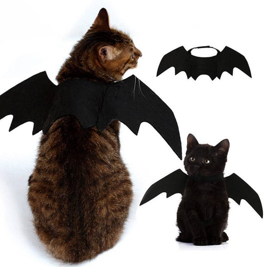 Halloween cat bat wings