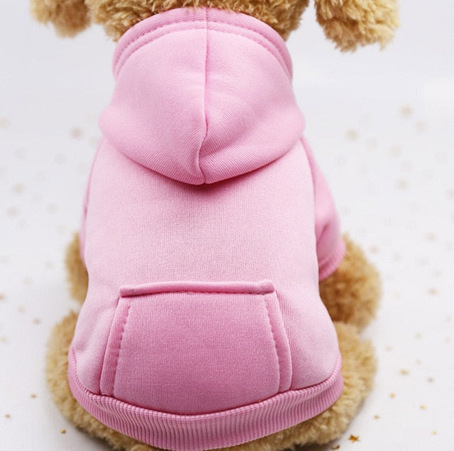 Pet hoody