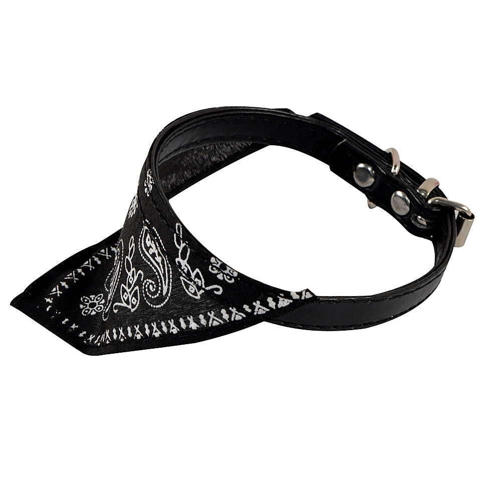 Bandana Collar