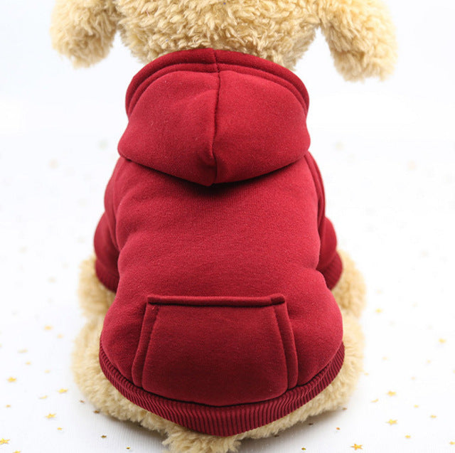 Pet hoody