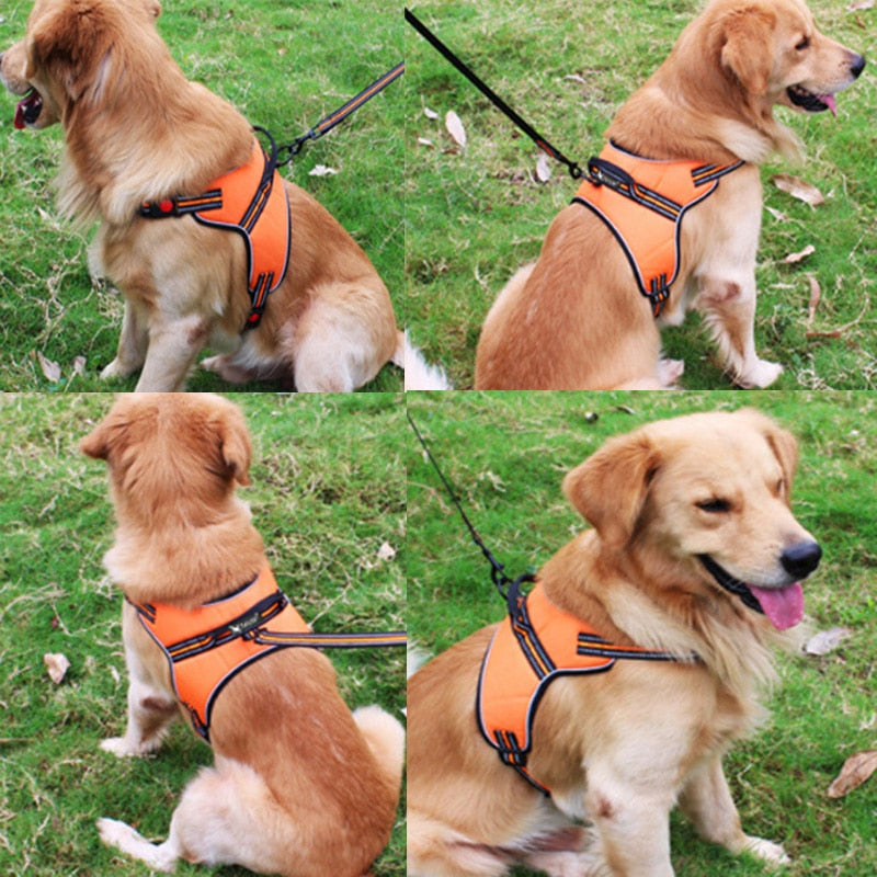 Dog Harness