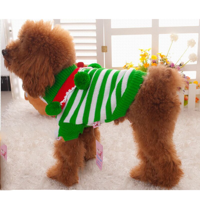 Christmas Pet Hoodies