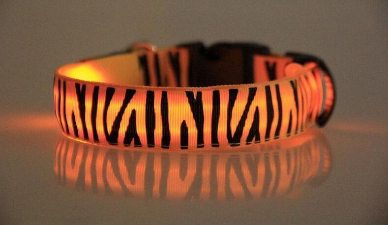 Zebra LED collar