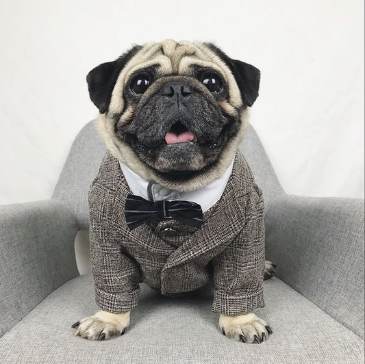 Dog Tuxedo