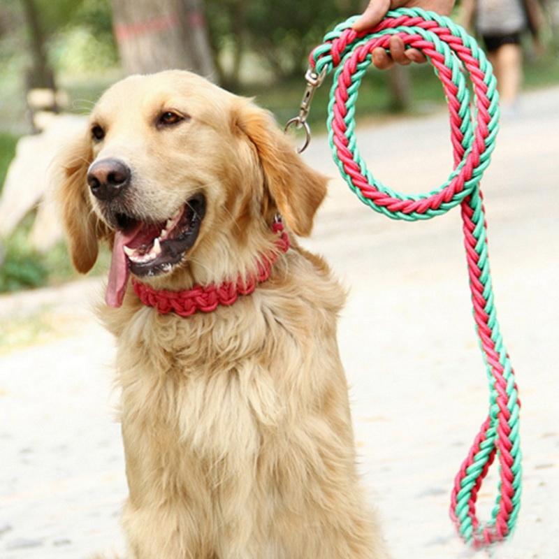 Strong Braided Dog Leash