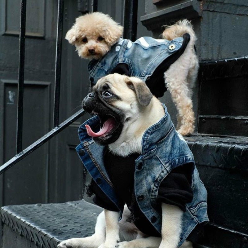 Pet denim jacket