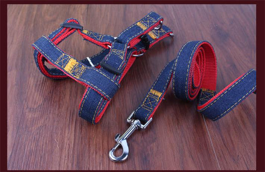 Denim Leash and Harness