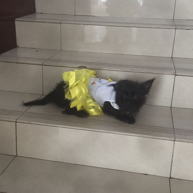 Pet Tutu Dress