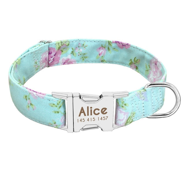 Personalised engraved dog collar