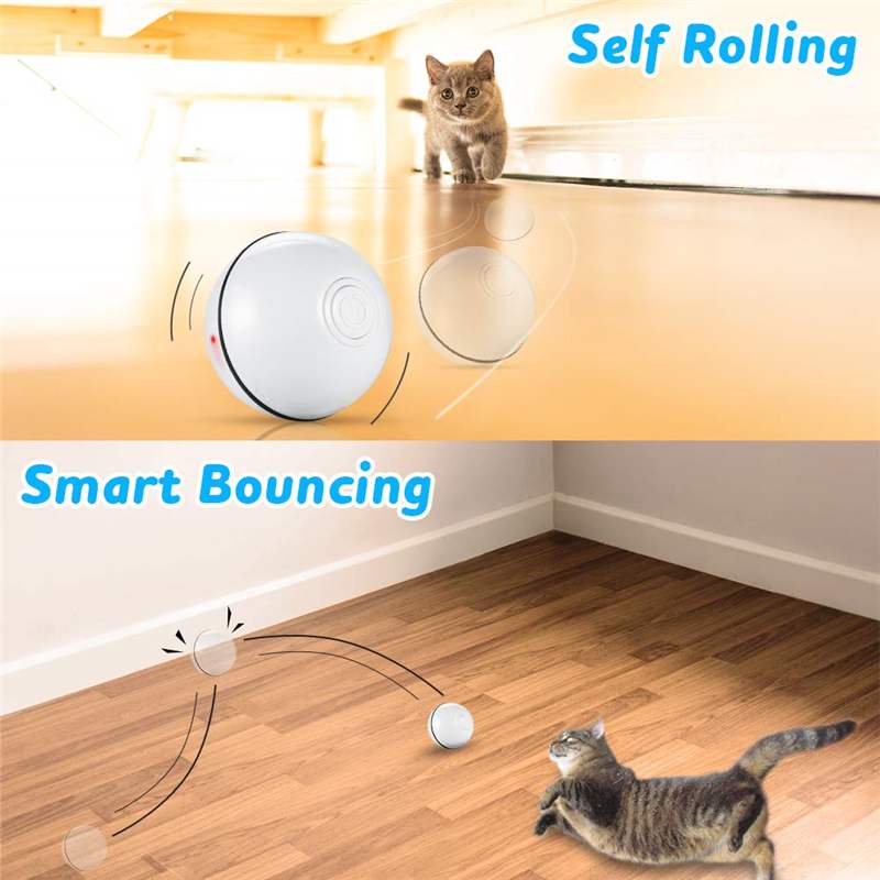 Smart Pet Toy Ball