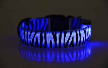 Zebra LED collar