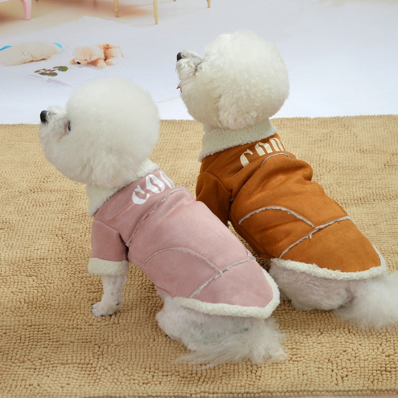 Cute Dog Jacket