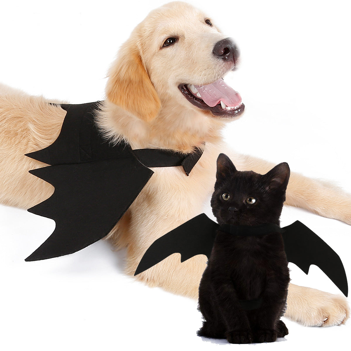 Pet Bat Wings