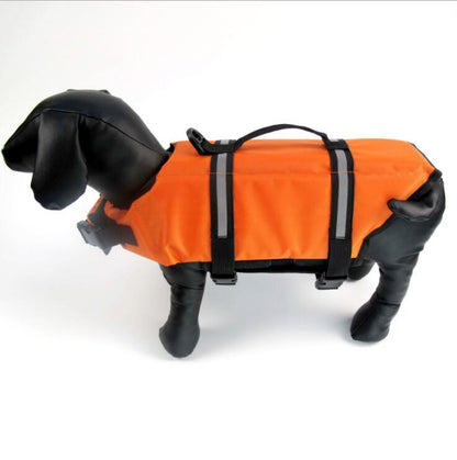 Hi visibility pet jacket