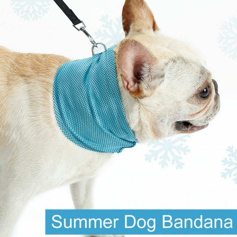 Cooling Dog Bandana