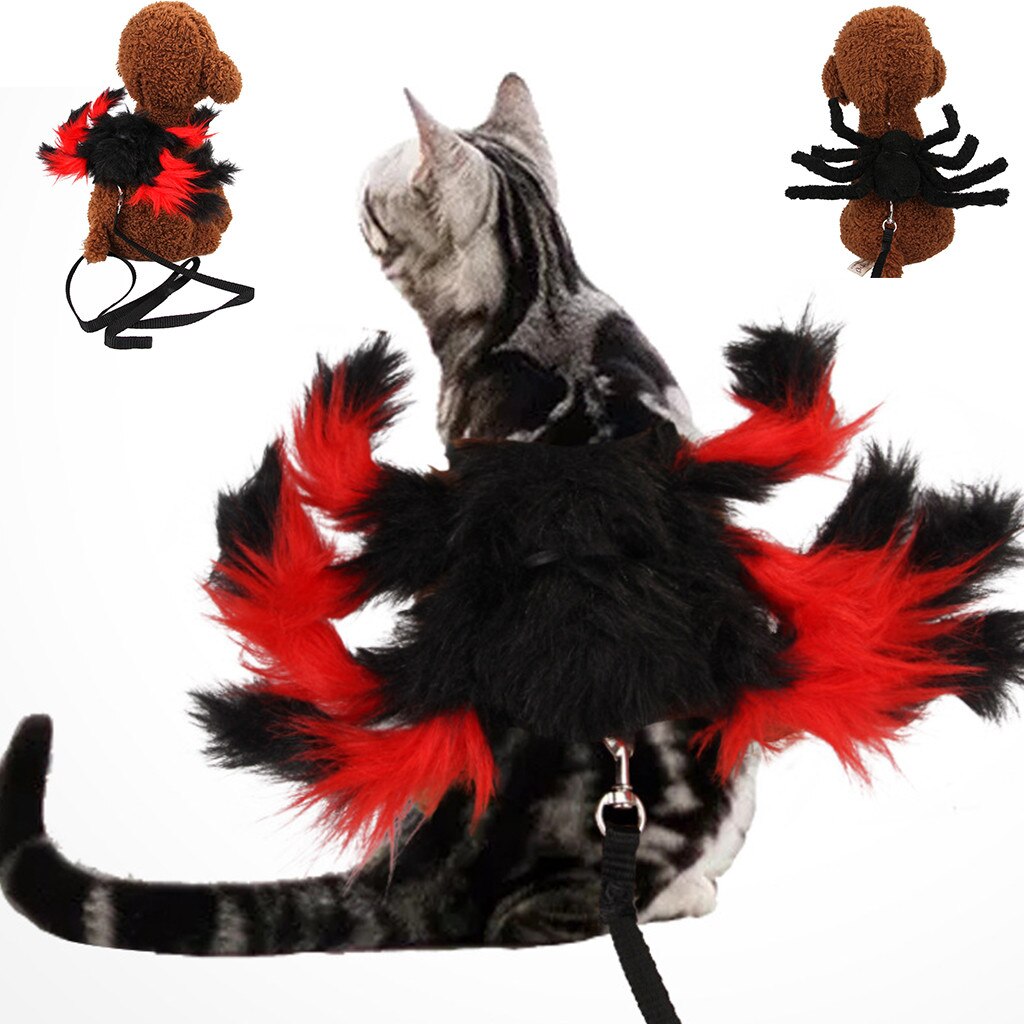 Pet spider costumes