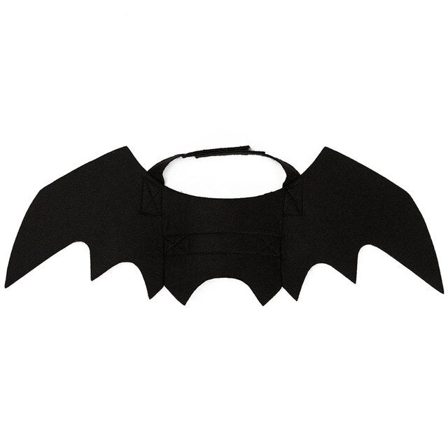 Pet Bat Wings