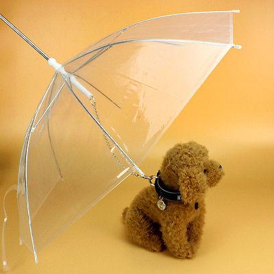 Transparent Pet Umbrella Leash