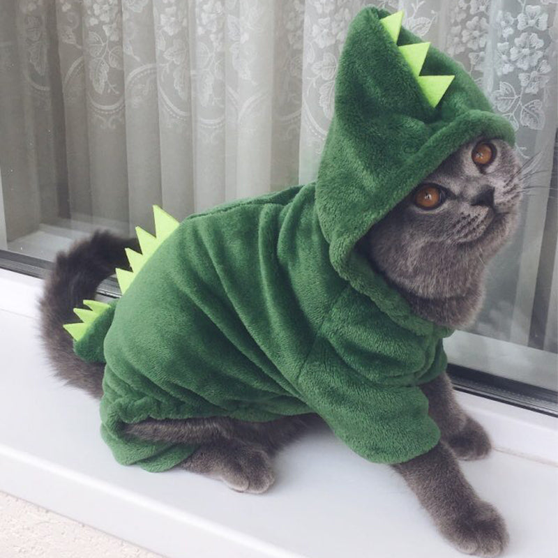 Dinosaur Pet Costume