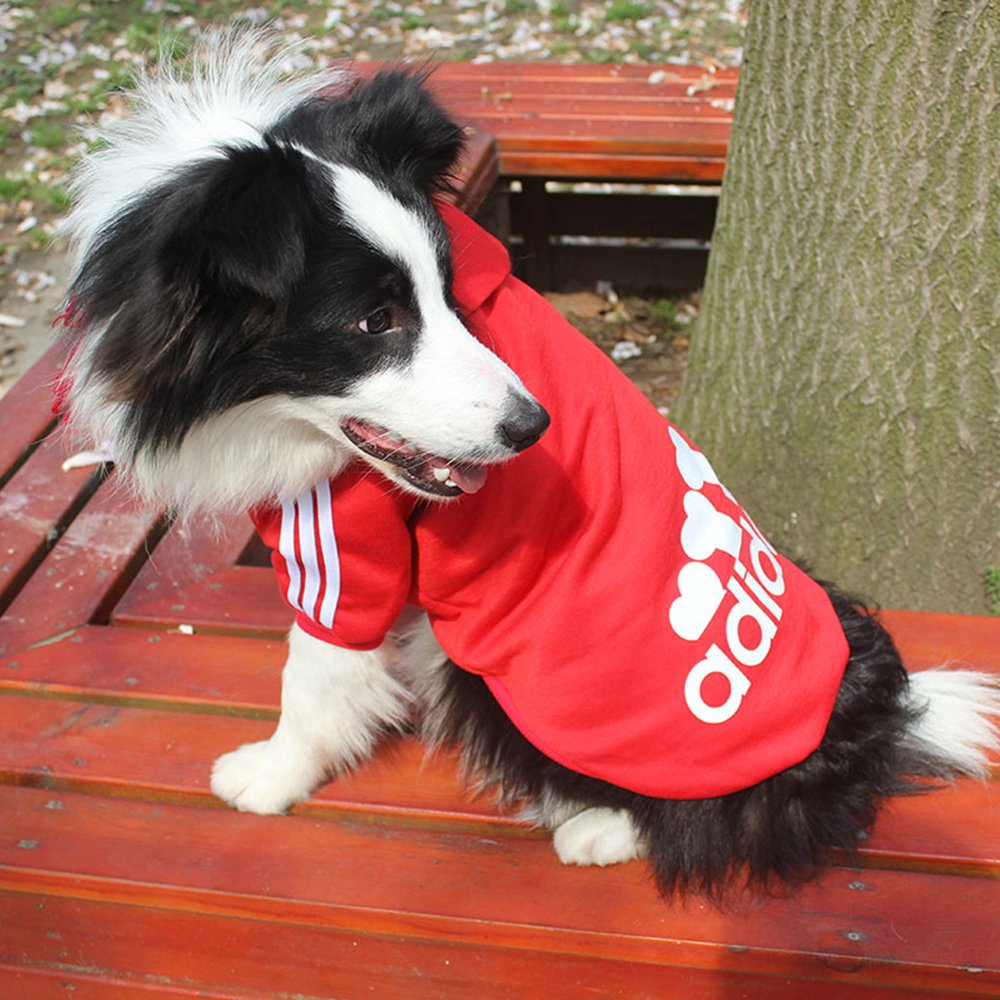 Adidog hoody