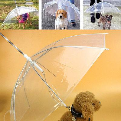 Transparent Pet Umbrella Leash