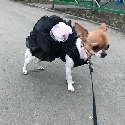 Dog wedding dress