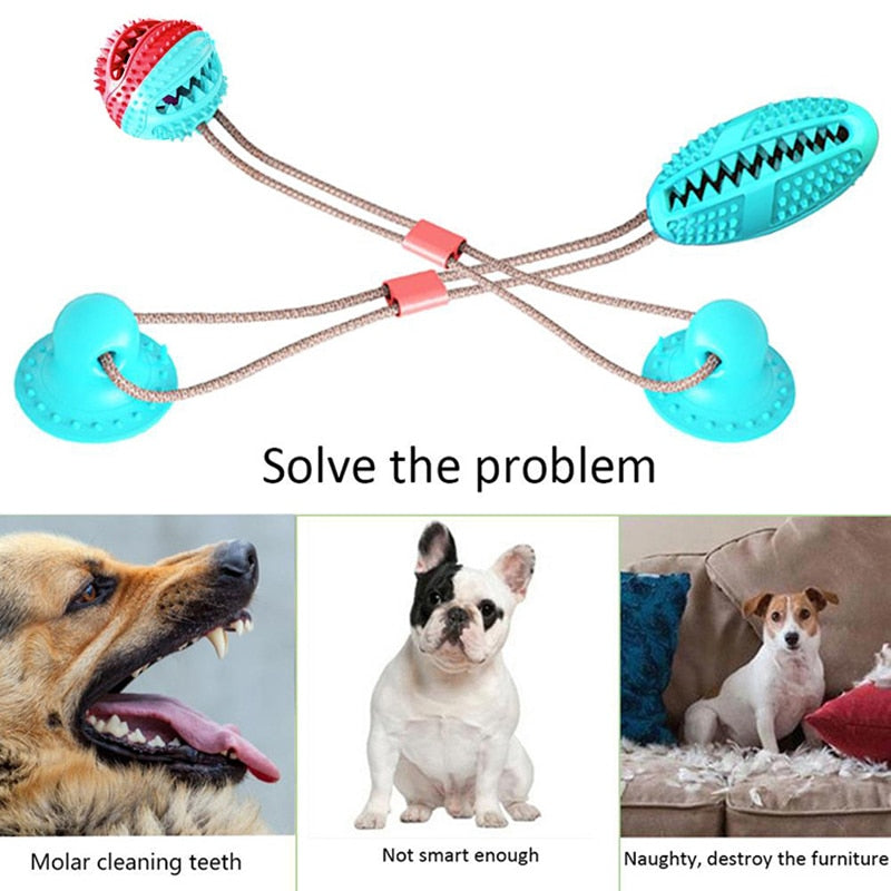 Dog Molar Bite Toy