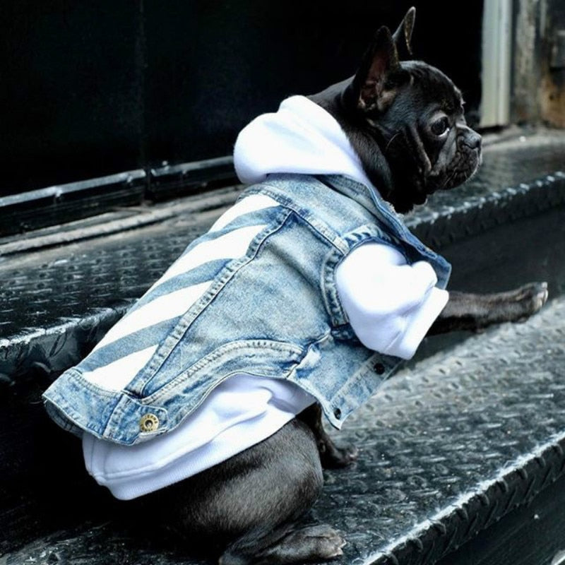 Pet denim jacket