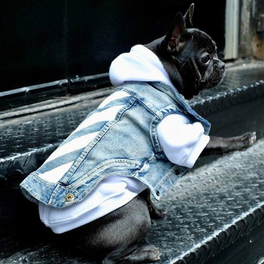 Pet denim jacket