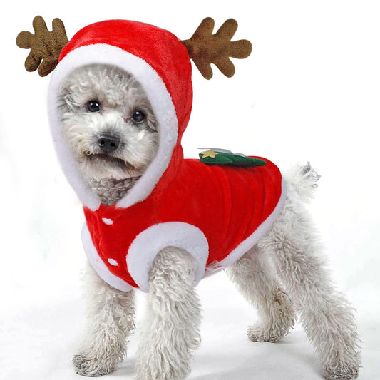 Christmas Pet santa reindeer Costume