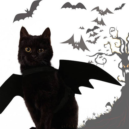 Halloween cat bat wings