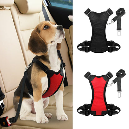 Dog Seatbelt + free harness