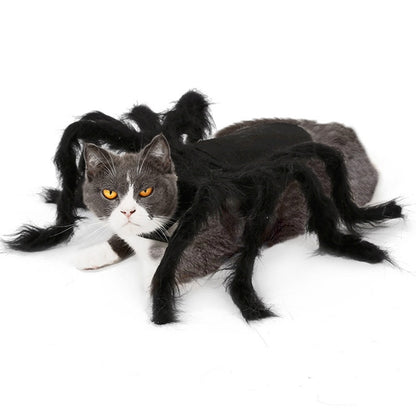 Pet spider costume