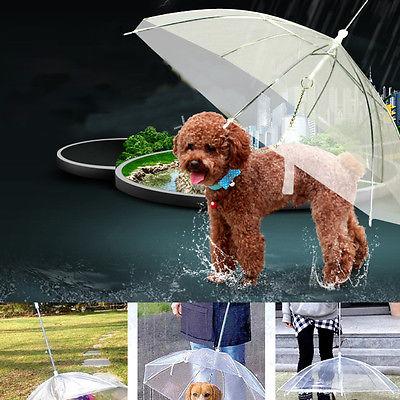 Transparent Pet Umbrella Leash