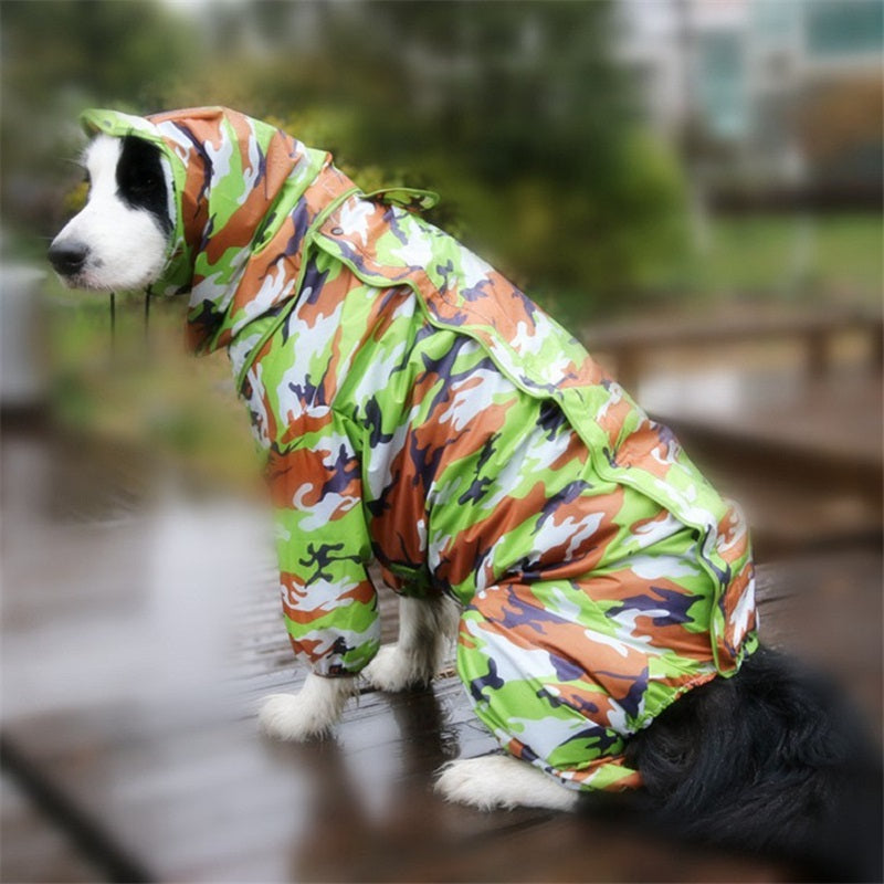 Dog raincoat