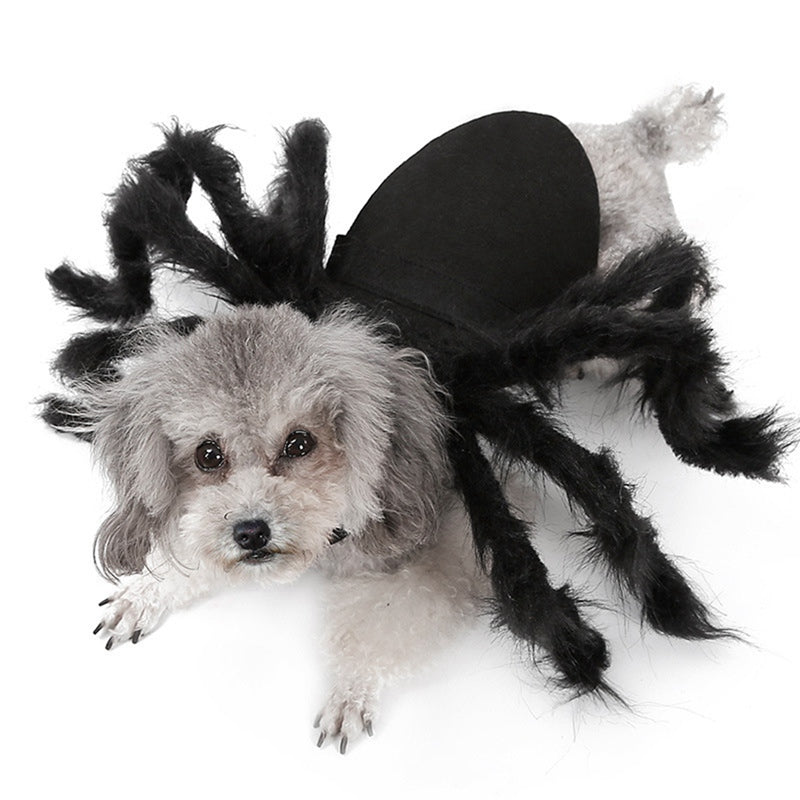 Pet spider costume