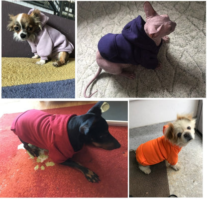 Pet hoody