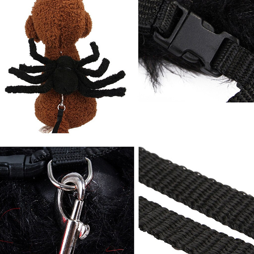Pet spider costumes