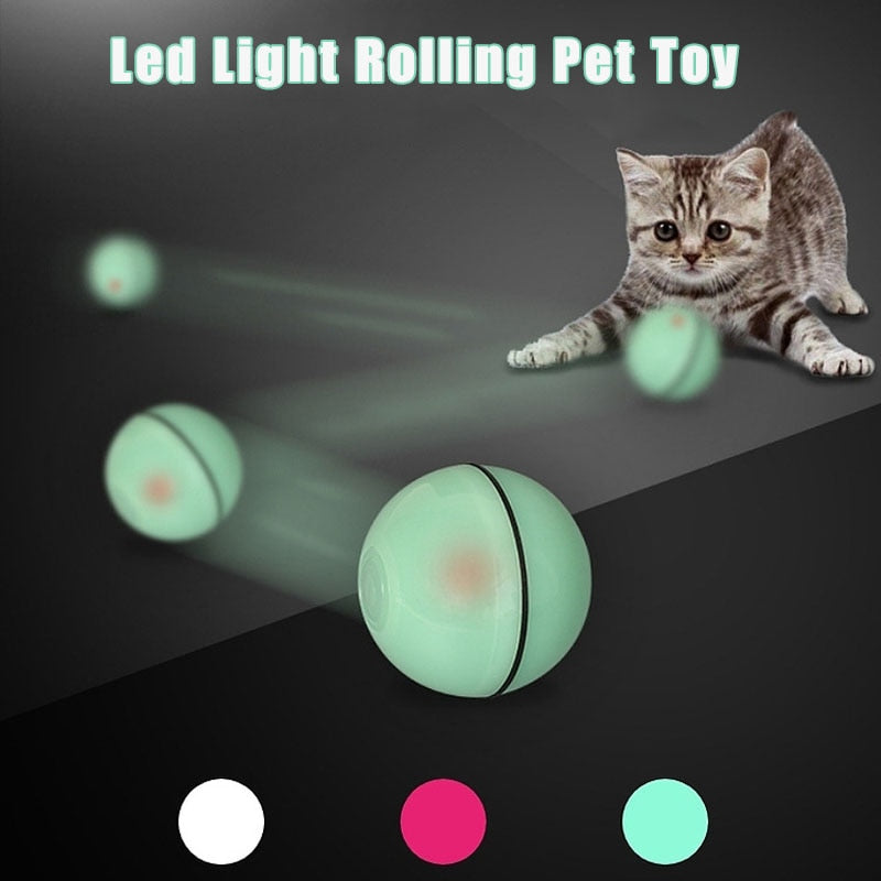 Smart Pet Toy Ball