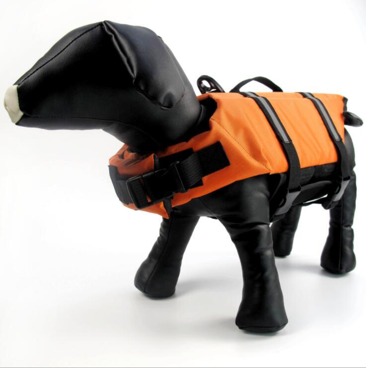 Hi visibility pet jacket