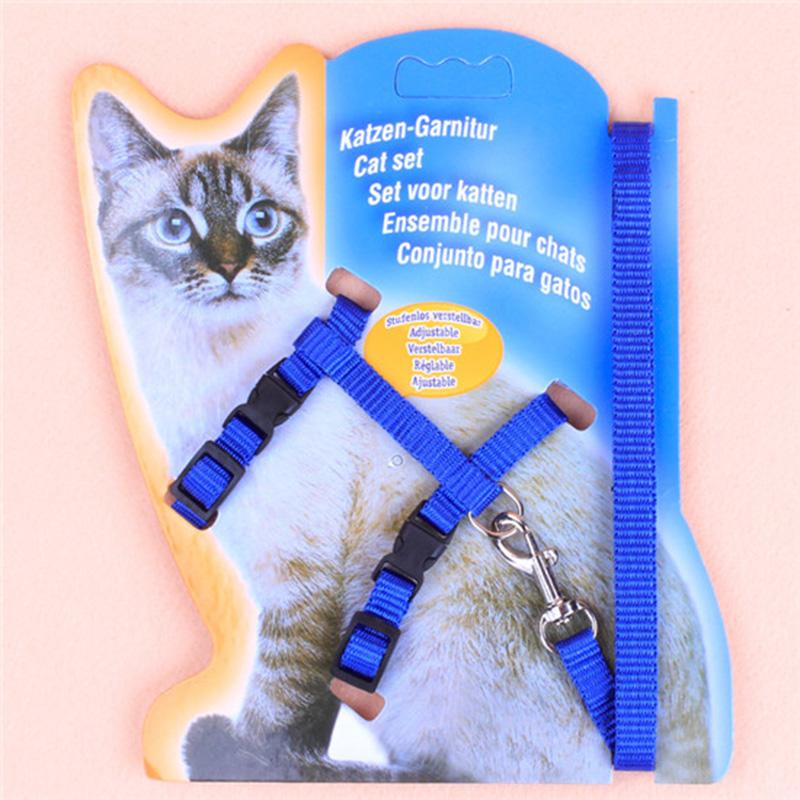 Cat Harness