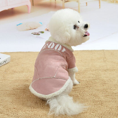 Cute Dog Jacket