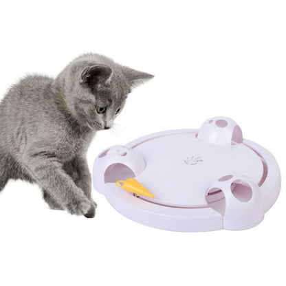 Interactive Cat Toy