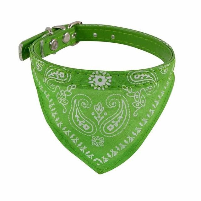 Bandana Collar